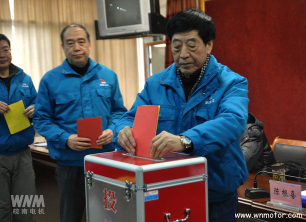 皖南電機(jī)陳根喜、管兵在投票現(xiàn)場